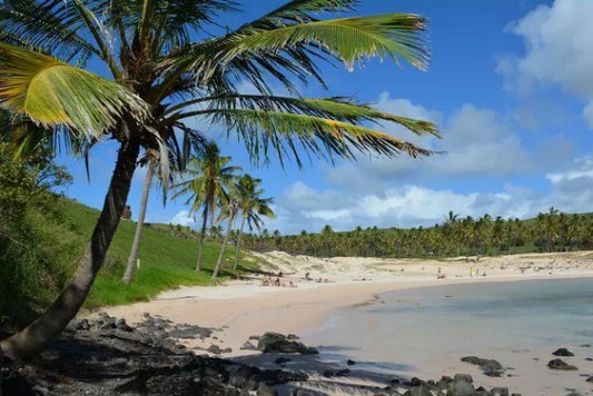 (+12 años) Día de descanso en Anakena