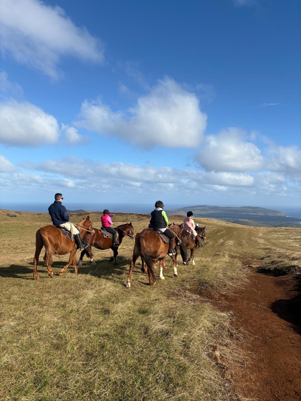 (+12 años) Vamos en caballo al punto más alto de Rapa Nui