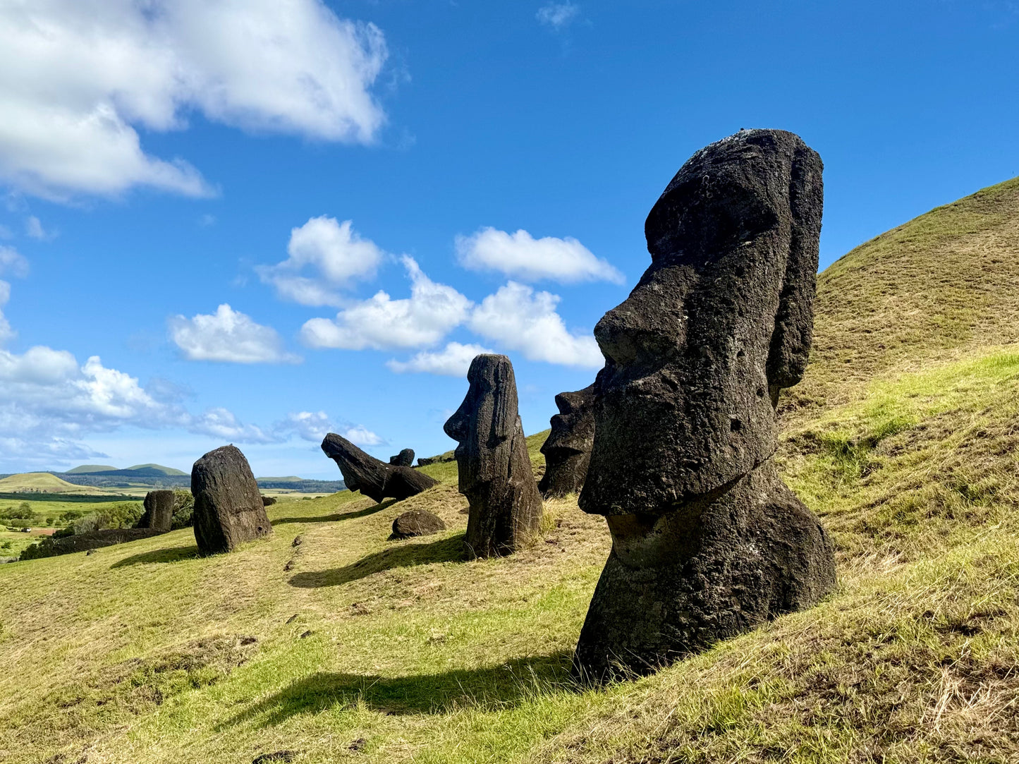 (+12 años) La Ruta del Moai - Full Day (Vaihū, Akahanga, Rano Raraku, Ahu Tongariki, Te Pito Kura, Anakena)