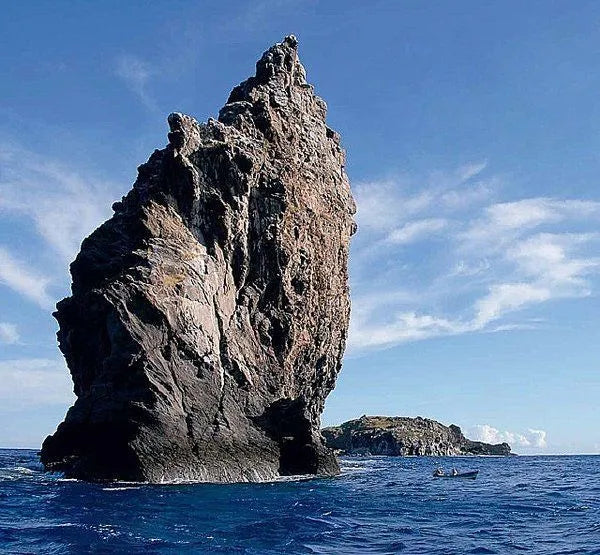 (+12 años) Paseo en bote a los motus y Snorkeling