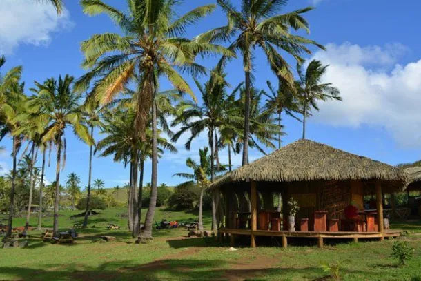 (+12 años) Día de descanso en Anakena