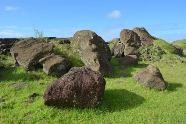 (+12 años) Tangata Manu - Half Day (Orongo, Rano Kau y Vinapú)