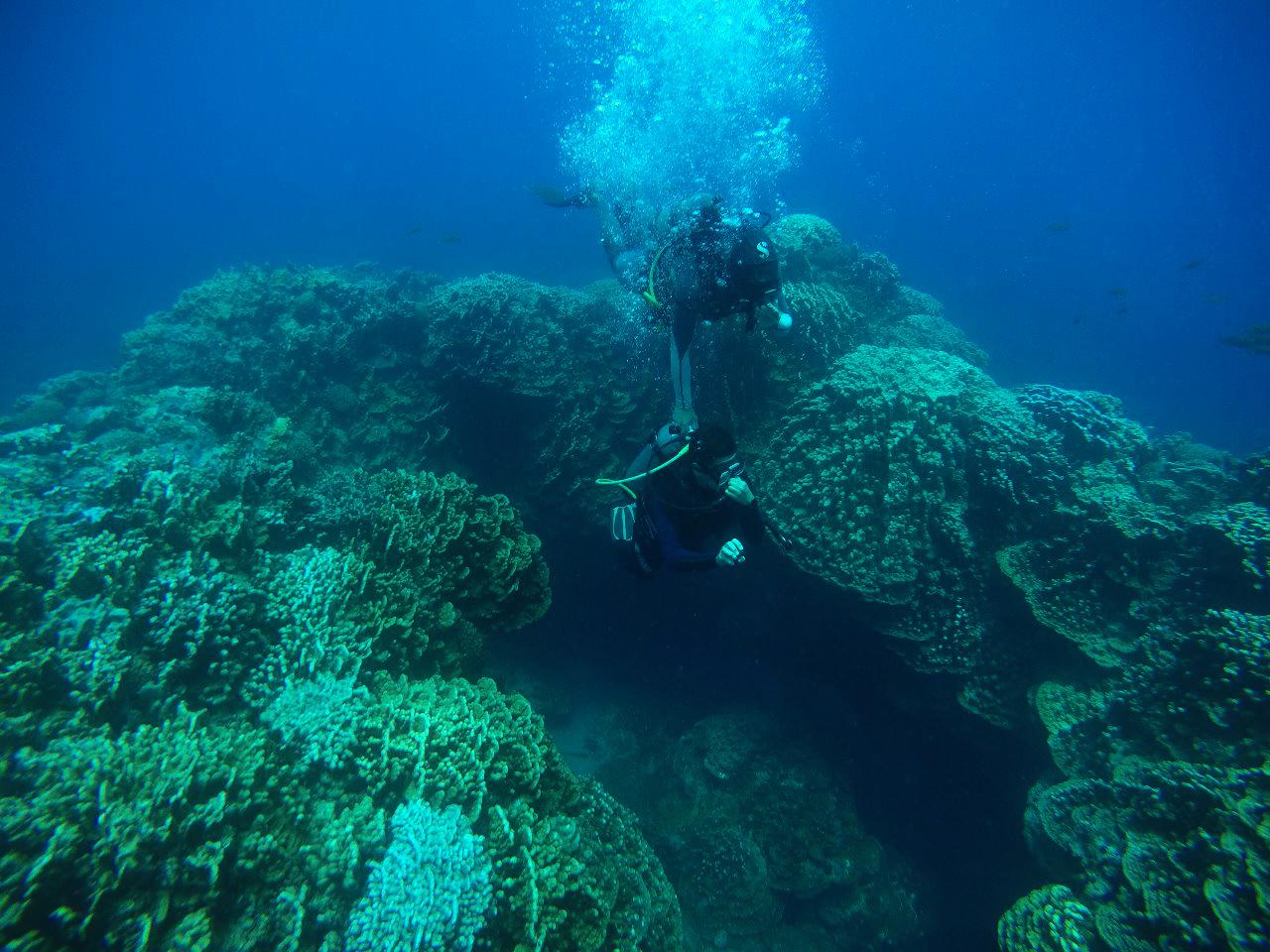 (-12 años) Buceo - Bautizos