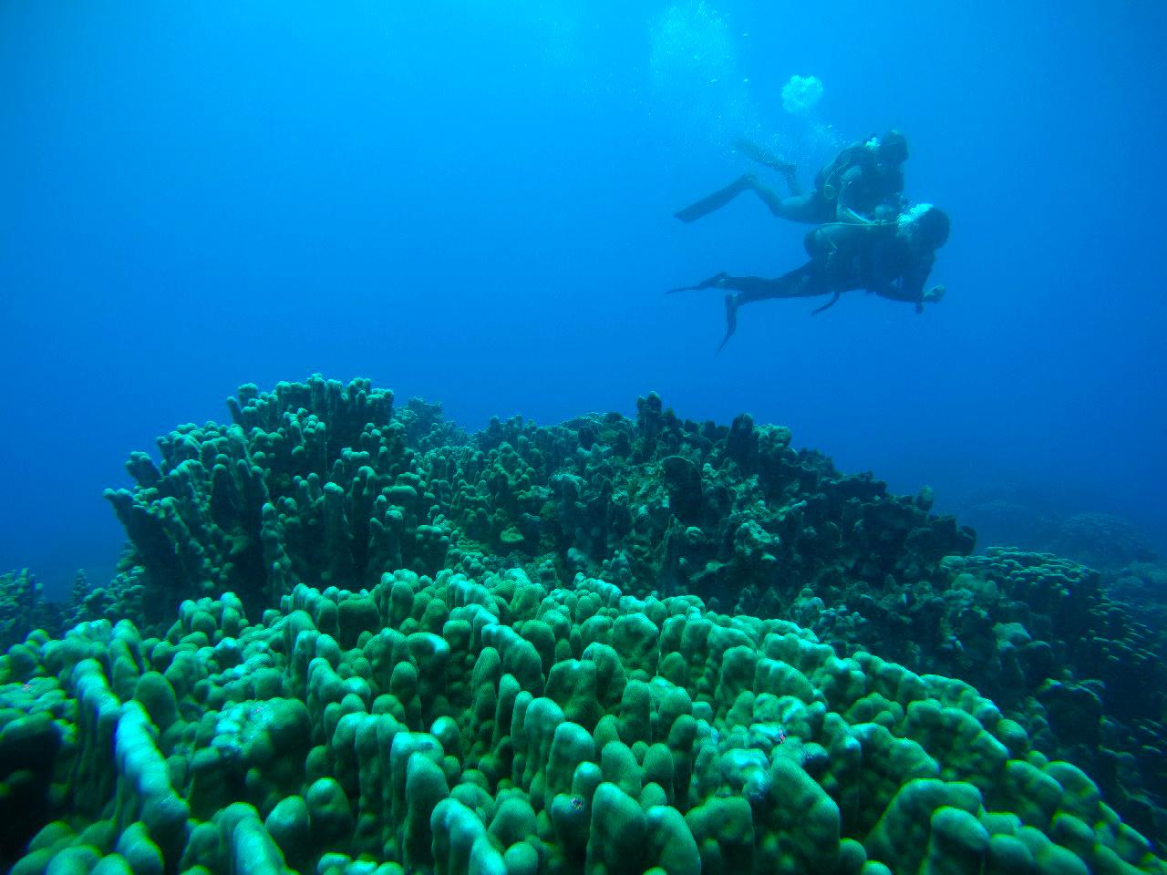 (-12 años) Buceo - Bautizos