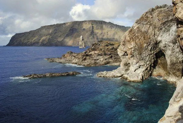 (+12 años) Paseo en bote a los motus y Snorkeling